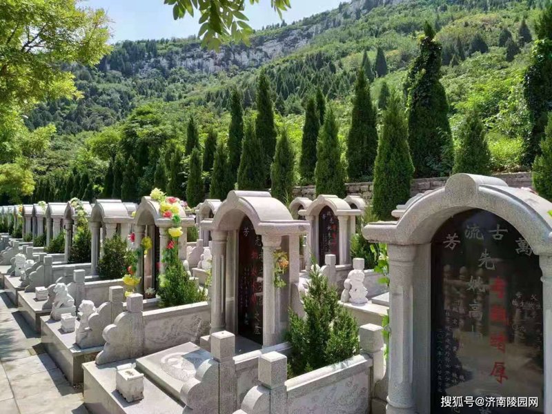 墓地选择